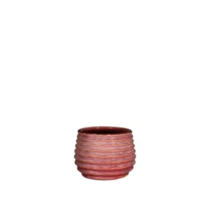 Pot Pink Carmine Rise Ø6,5 x h: 8 cm (12 Pcs)
