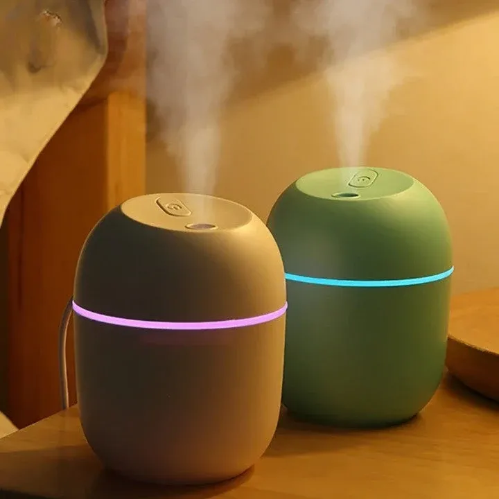Egg Shape Nano Portable Mist Humidifier - Image 0