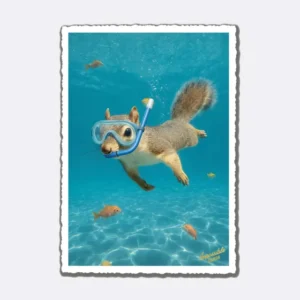 Postkarte mit tauchendem Eichhörnchen in blauem Wasser und Schriftzug "Impossible Cards"