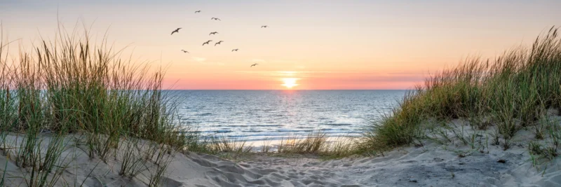 Küchenrückwand-Malerischer Sonnenuntergang am Dünenstrand