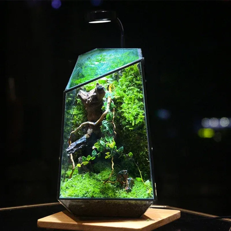 Modern Geometric Nature-Inspired Botanical Terrarium - Image 0