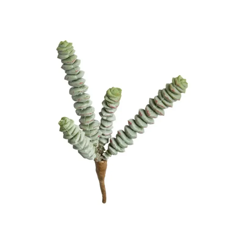 Sukkulenter Stiel H15cm – Künstlich