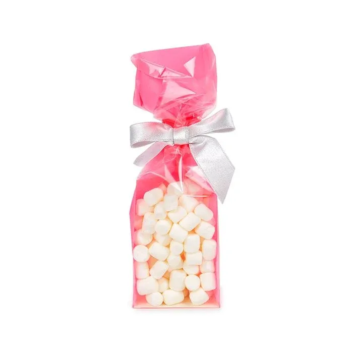 Block Bottom Bags Neon Pink w/ Paper Insert 7x5,1x25,4 cm